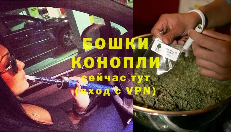 darknet телеграм  Вятские Поляны  Марихуана семена 